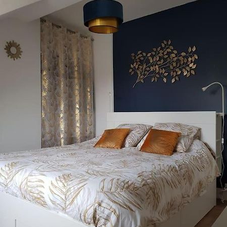 Appartement Lumineux Et Moderne Le Mans Luaran gambar